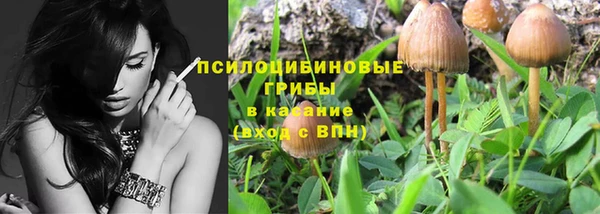 мяу мяу мука Алексин