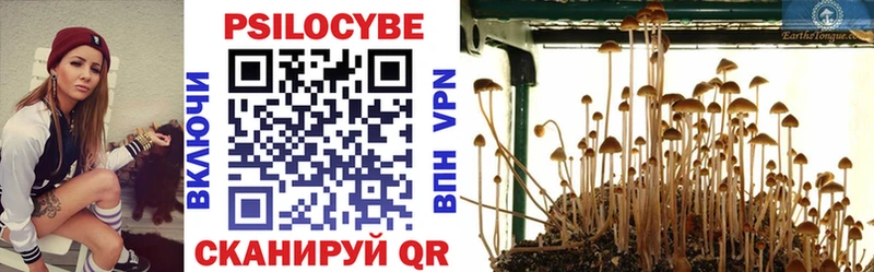 Псилоцибиновые грибы Magic Shrooms  Тосно 